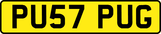 PU57PUG