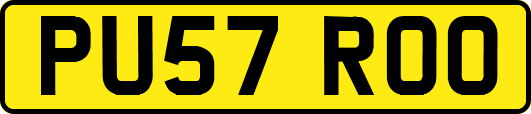PU57ROO