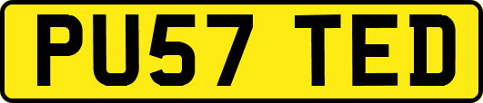 PU57TED