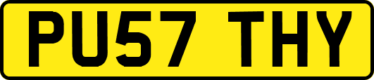 PU57THY