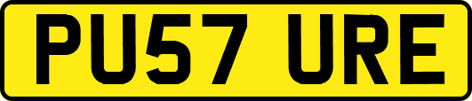 PU57URE