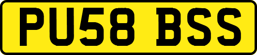 PU58BSS