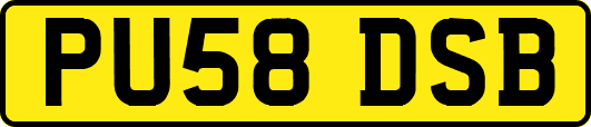 PU58DSB