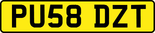 PU58DZT