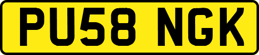 PU58NGK