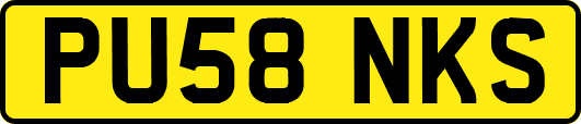 PU58NKS