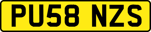 PU58NZS