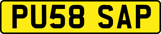 PU58SAP