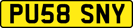 PU58SNY