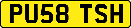 PU58TSH