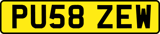 PU58ZEW