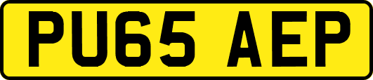 PU65AEP