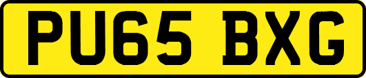 PU65BXG