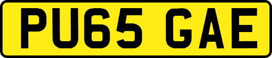 PU65GAE