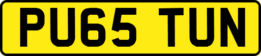 PU65TUN