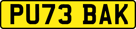 PU73BAK