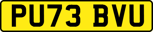 PU73BVU