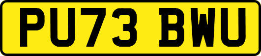 PU73BWU