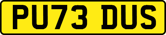 PU73DUS