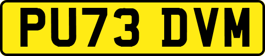 PU73DVM