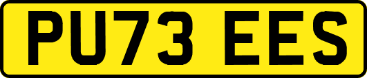 PU73EES