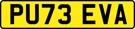 PU73EVA