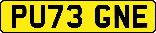 PU73GNE