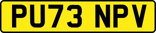 PU73NPV