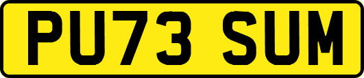 PU73SUM