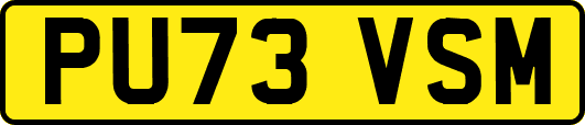 PU73VSM