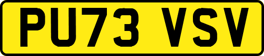 PU73VSV