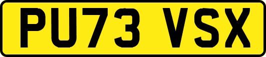 PU73VSX