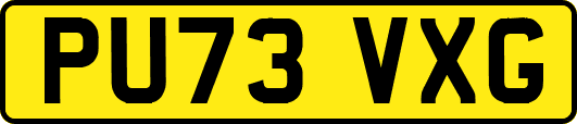 PU73VXG
