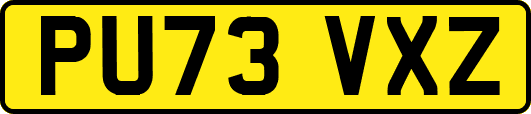 PU73VXZ