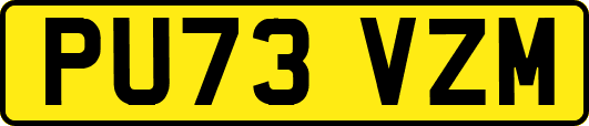 PU73VZM