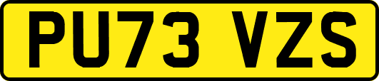 PU73VZS