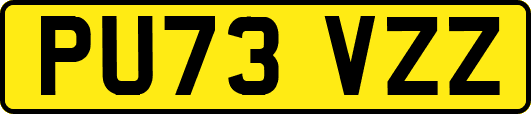 PU73VZZ