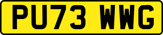 PU73WWG