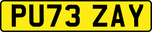 PU73ZAY