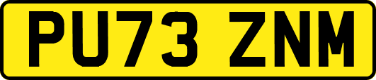 PU73ZNM