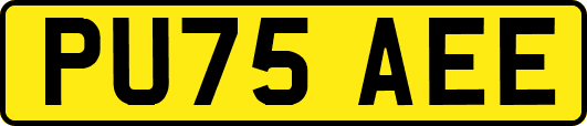 PU75AEE
