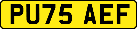 PU75AEF