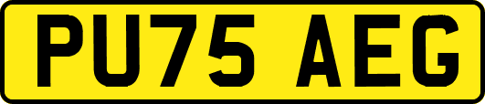 PU75AEG
