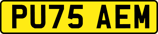 PU75AEM