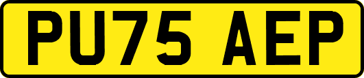 PU75AEP