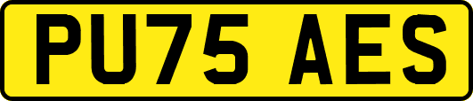 PU75AES