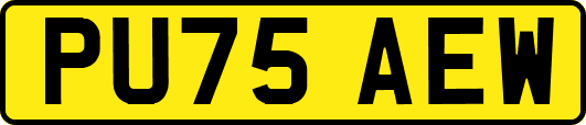 PU75AEW