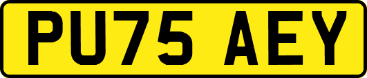 PU75AEY