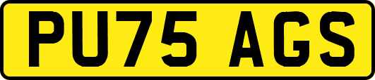 PU75AGS