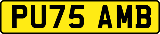 PU75AMB